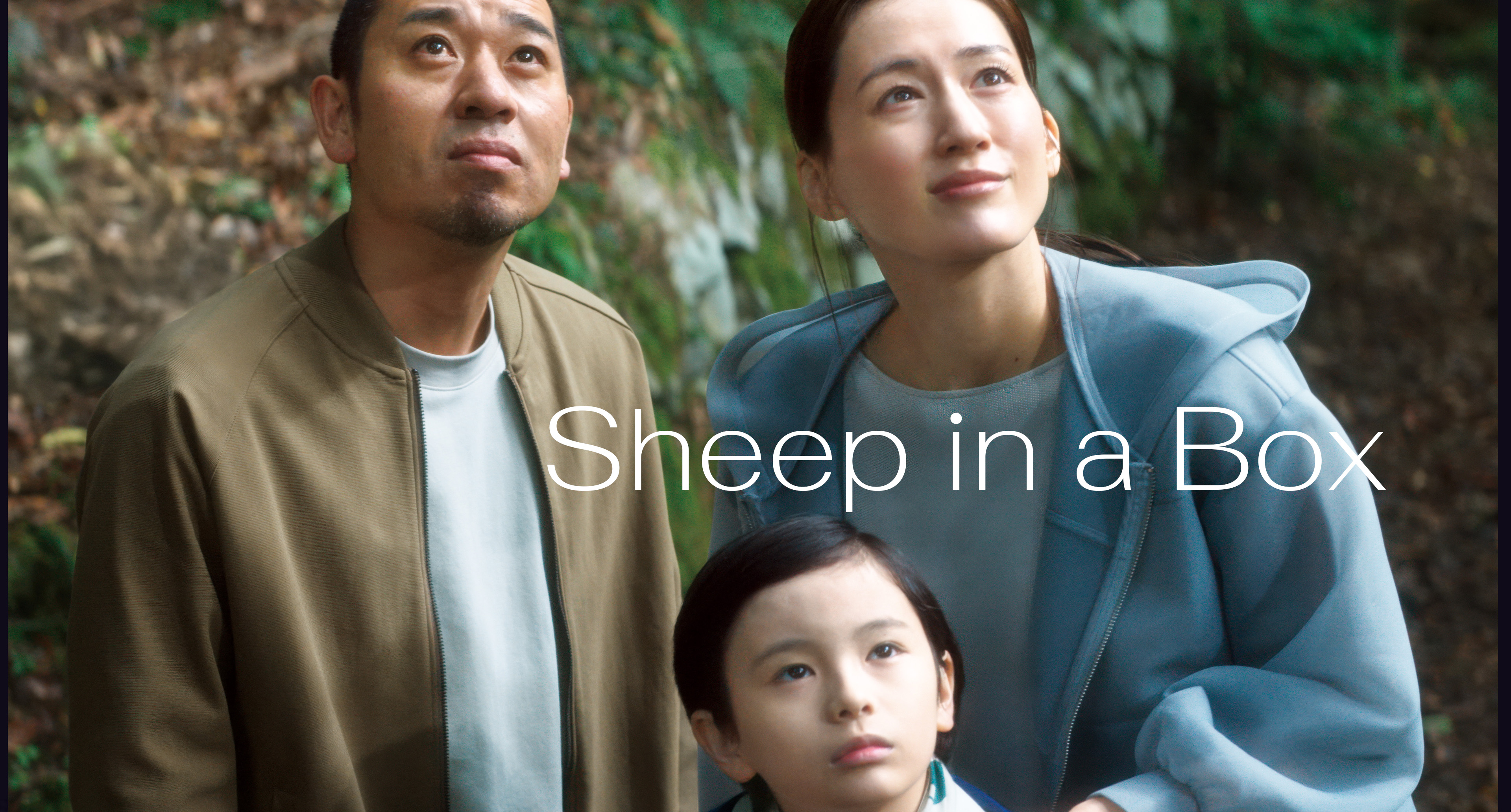 SHEEP IN THE BOX